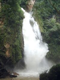 La verdadera fuente de la eterna juventud