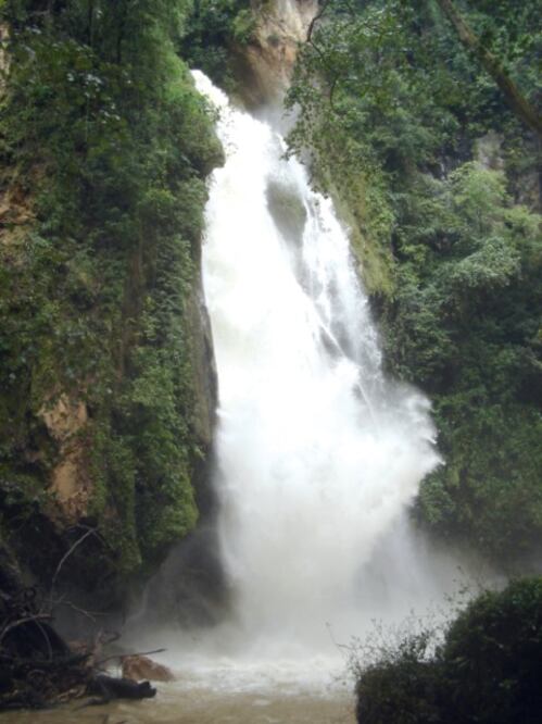 La verdadera fuente de la eterna juventud