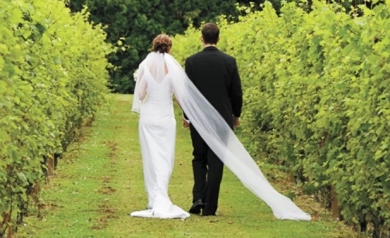 Foto: Archivo. El Universal