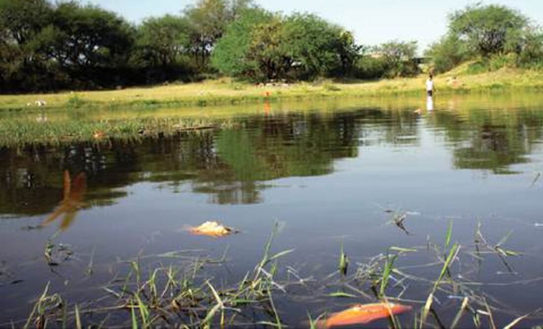 Evaden casos de contaminación