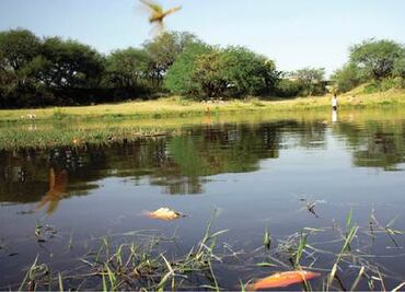 Evaden casos de contaminación