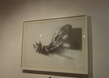 Exposición Mea Vita en Galería SEJUVE