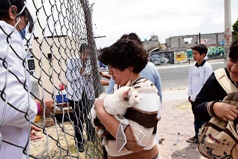 Piden vacunar a mascotas