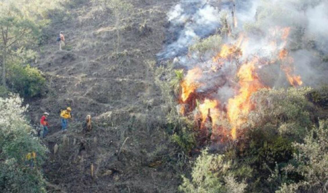 FOTO: Archivo El Universal