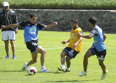 Gallos se prepara ante Monarcas