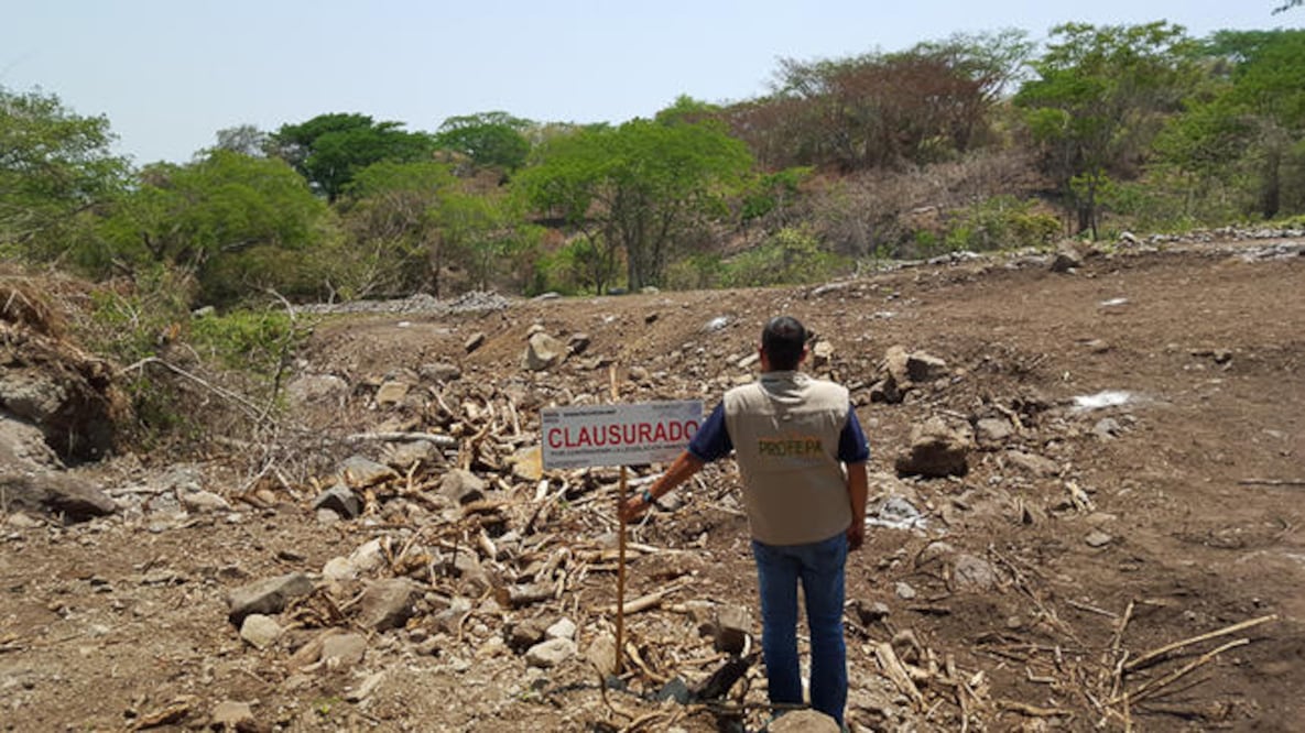 Durante una audiencia, el juez de Distrito ratificó que la afectación de uso de suelo en terrenos forestales para la realización de un presunto proyecto habitacional (PROFEPA)