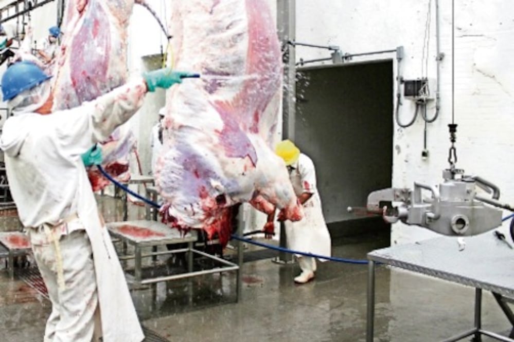 Reabren el rastro de Corregidora el lunes