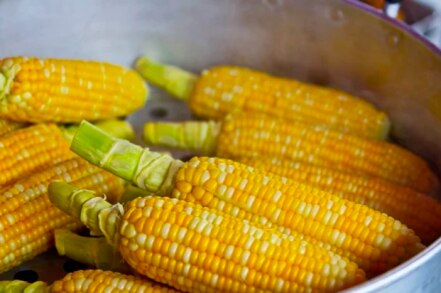 7 beneficios del elote