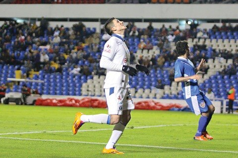  Los emplumados no se salvan 