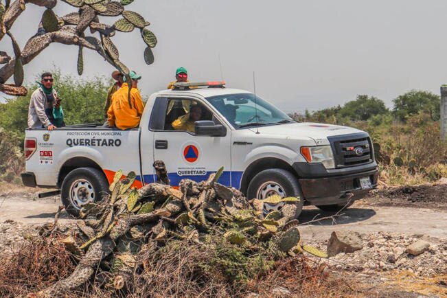 Sin lesionados ni daños en incendio de Cerro de la Venta