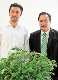 Recibirá la capital más de 2 mil plantas