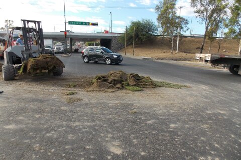 Camión tira pasto en la 57