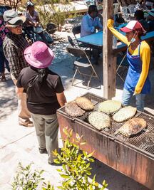  Se evitaron riesgos con operativo de equinoccio