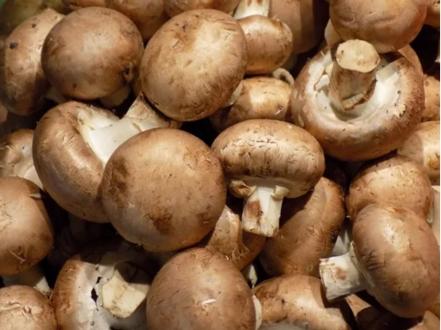 Alimentos antiinflamatorios que debes incluir en tu dieta