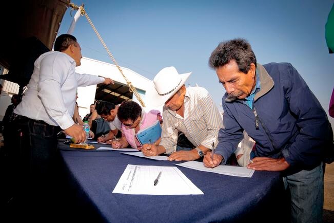 Jóvenes y adultos mayores buscan becas y apoyos para mejorar