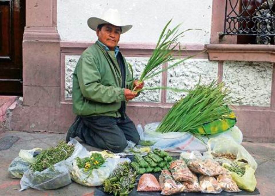Viven de la venta de plantas medicinales