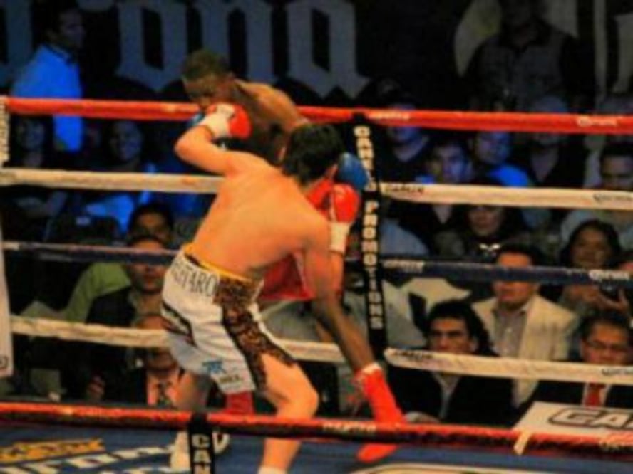 “No se siguió el protocolo”