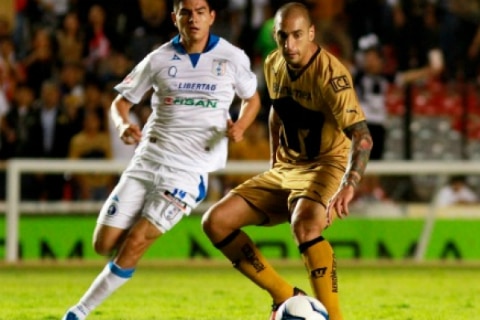 Gallos, por el arranque soñado