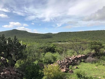 Urgen rescatar a principal pulmón de Querétaro