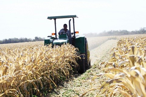 Impactará IEPS al agro, alertan