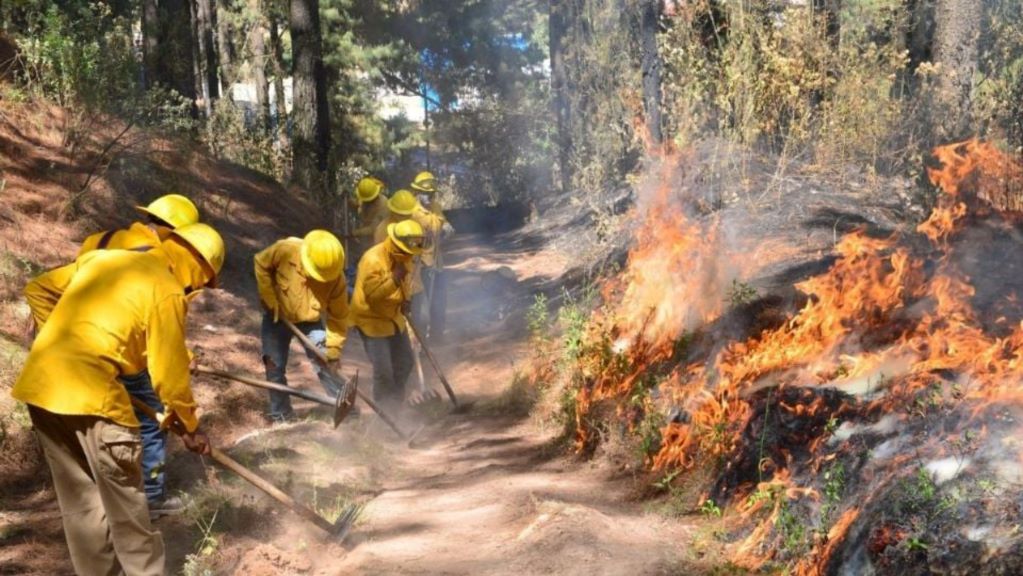 Se registra el mayor daño por incendios en 10 años