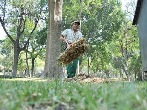 Dona FIQMA plantas a municipio
