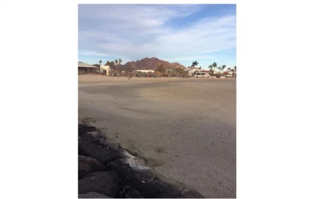 Foto: Redes sociales