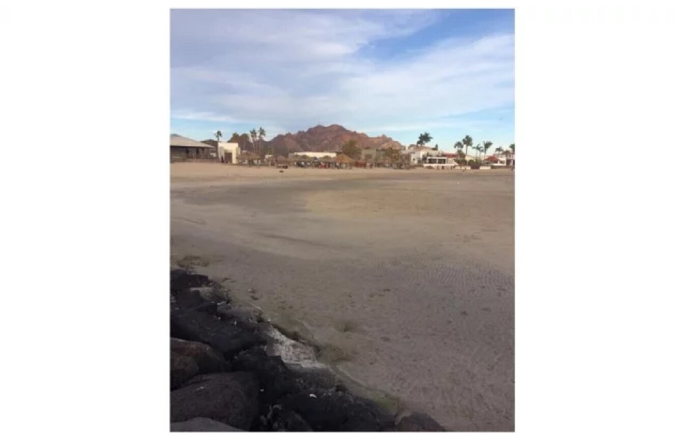 Mar se aleja 30 metros ahora en playas de Sonora