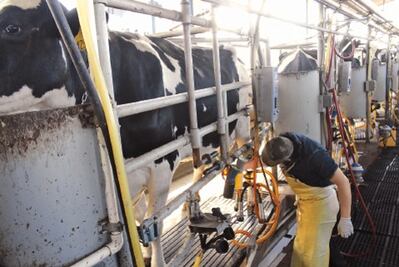 Campo y ganaderos esperan más recursos