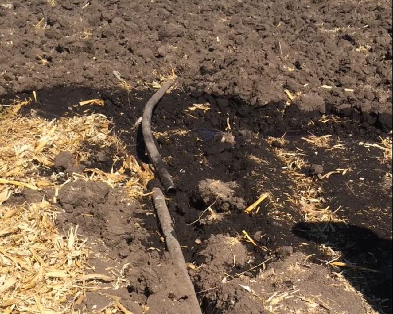 Pemex, responsable de chupaductos: Mauricio Kuri