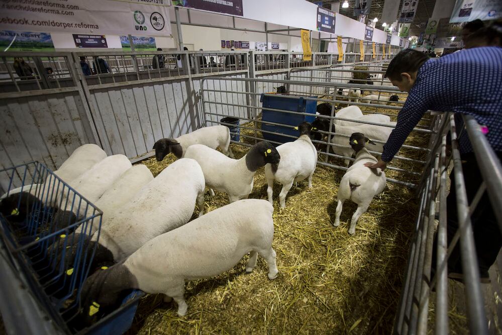 Foto: Demian Chávez