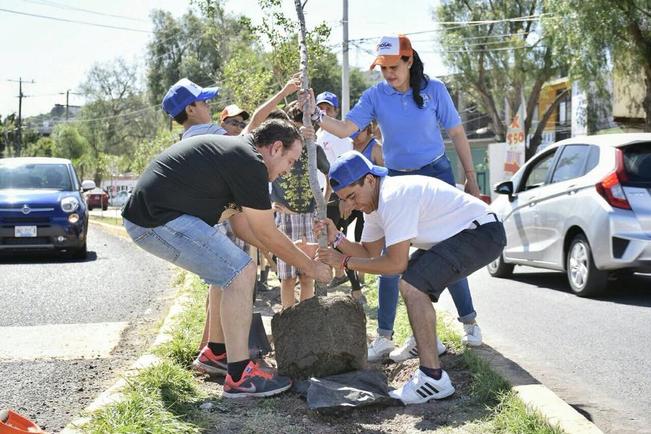 Roberto Sosa participa en reforestación en Corregidora