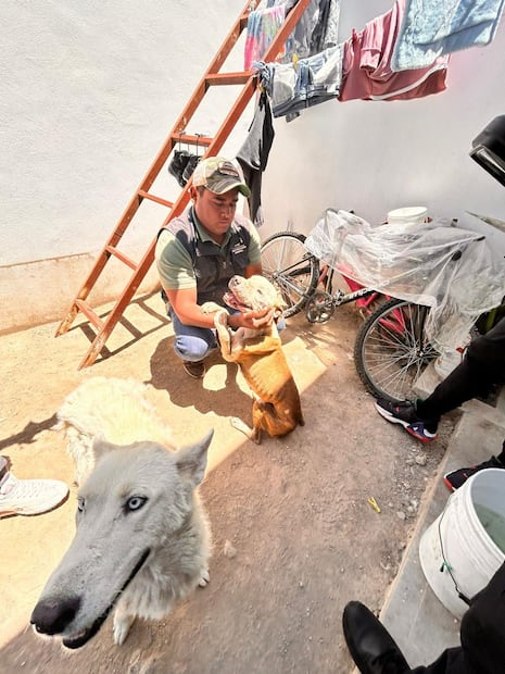 Foto. Facebook IMPA El Marqués
