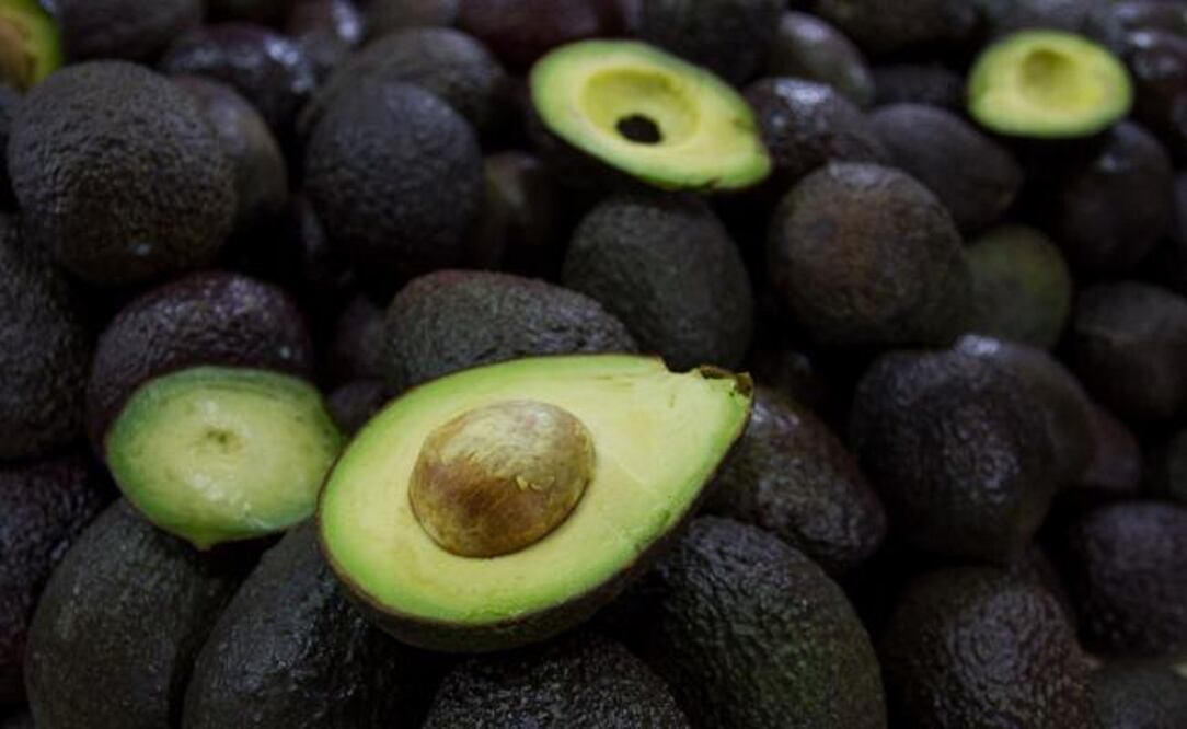 Foto: Archivo El Universal