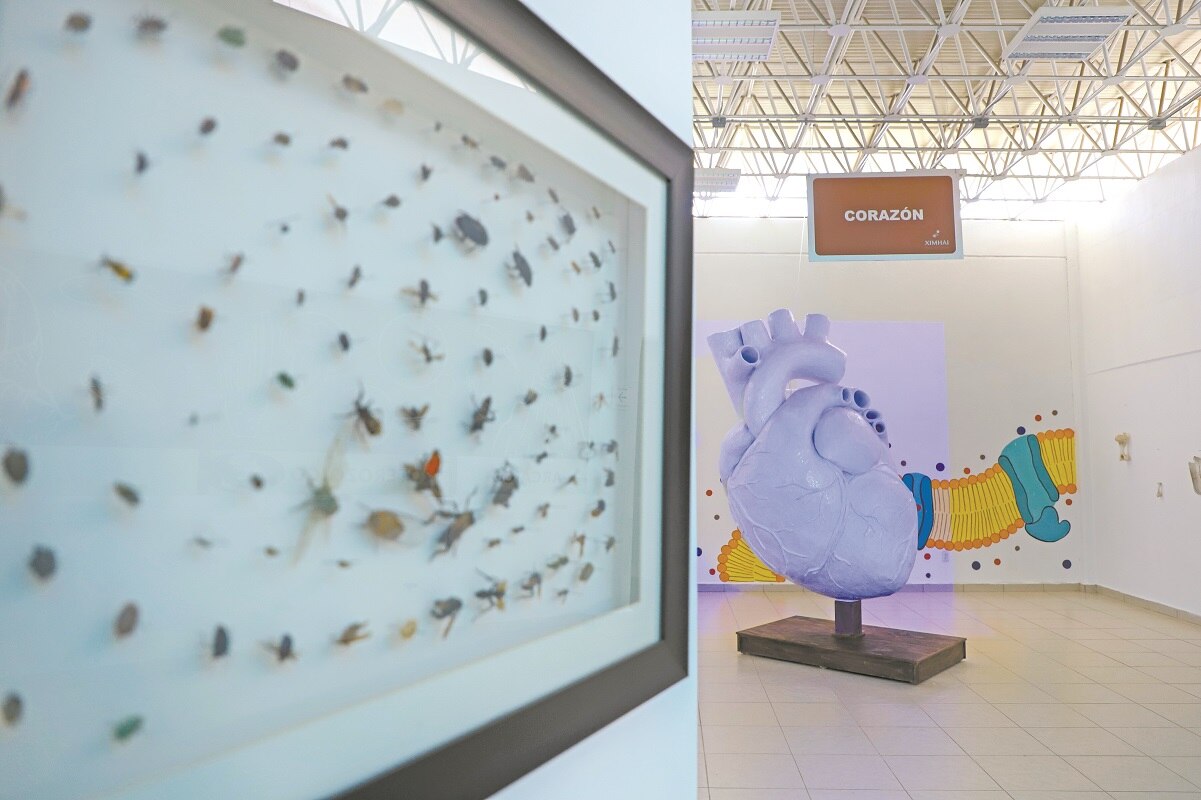 Museo Ximhai abre cuatro nuevas salas