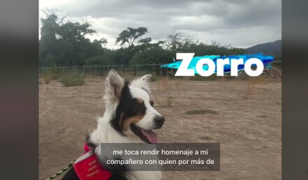 Zorro se jubila; el lomito dedicó 8 años al rescate de personas en México 