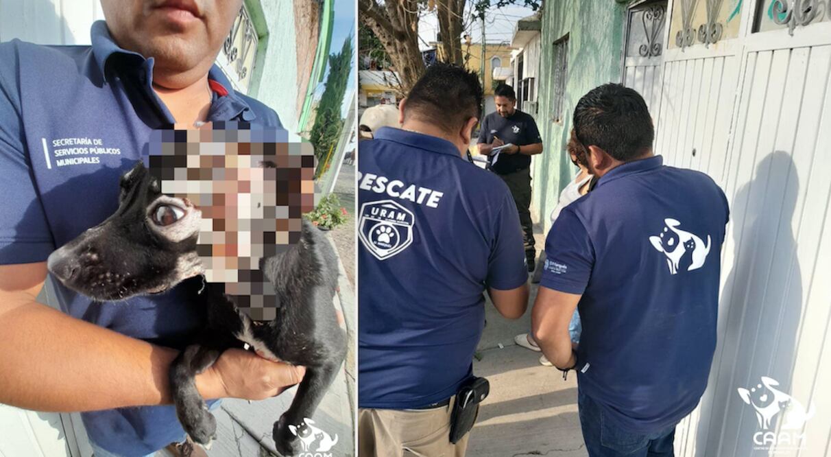 Foto: CAAM de El Marqués