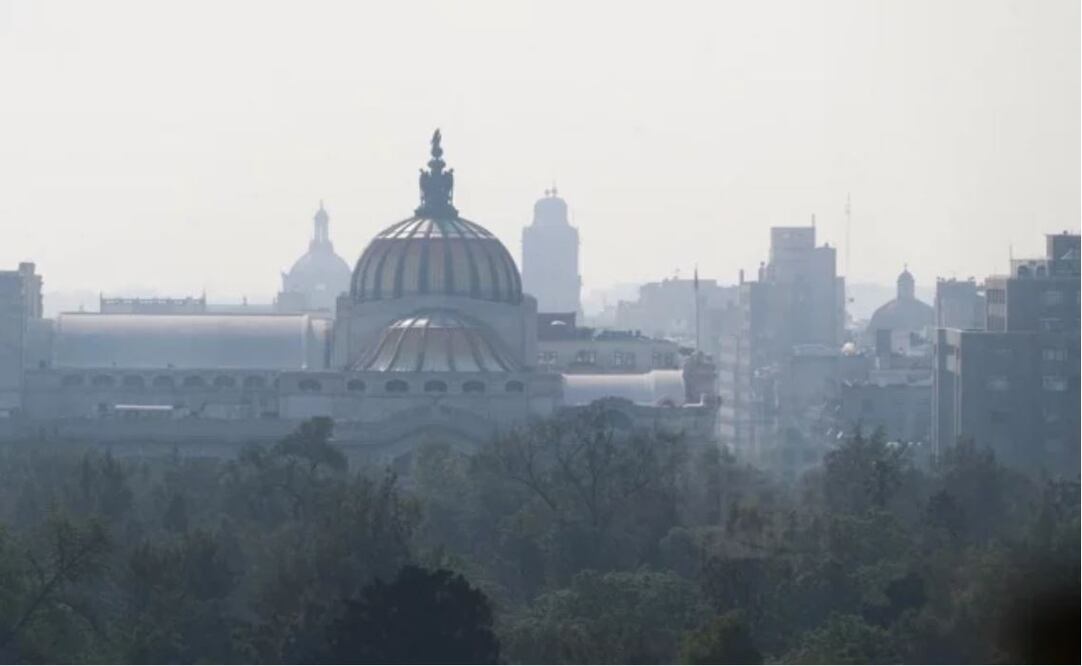 Foto: Diego Simón Sánchez/EL UNIVERSAL