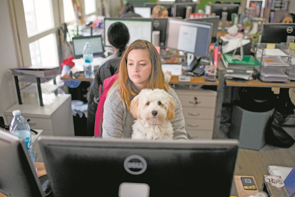 Foto: Archivo. El Universal