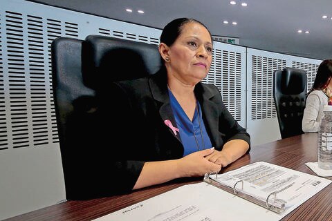 Proponen crear distrito electoral