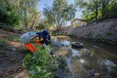 En La Cañada, retiran toneladas de basura del río Querétaro