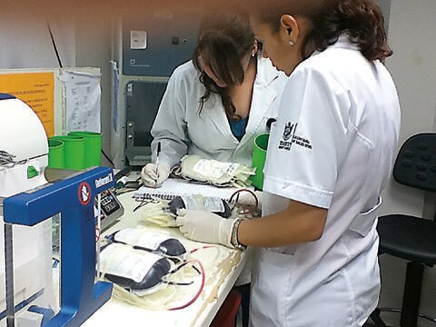 Destacan labor de Querétaro en combate contra el Sida