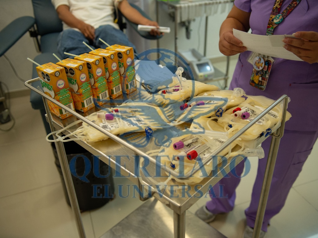 Foto: Fernando Camacho