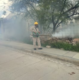 Confirman 49 casos de dengue en una semana