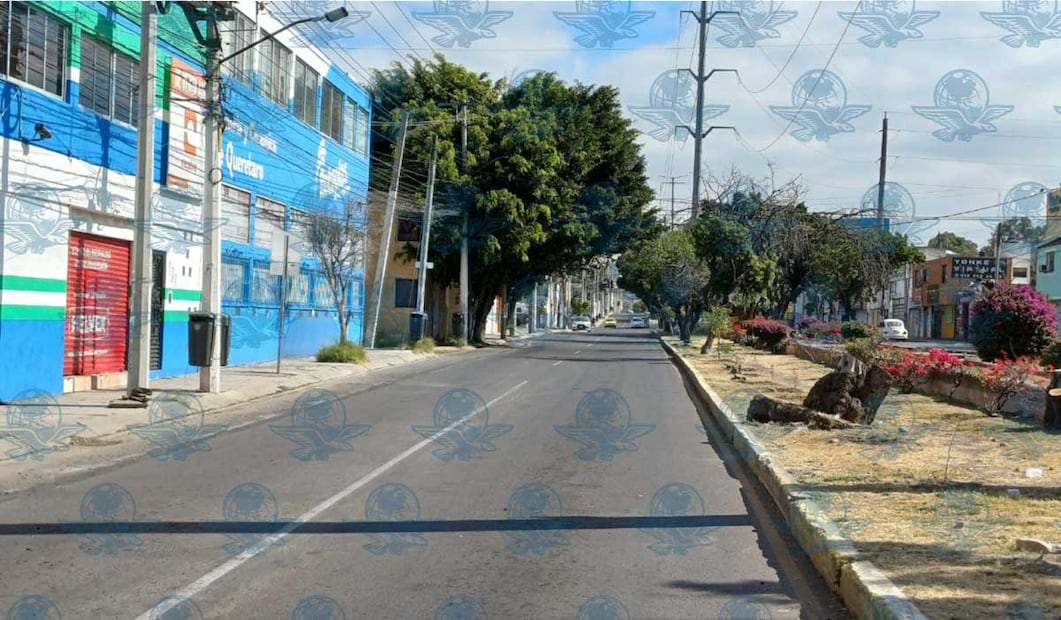 Foto: Domingo Valdez