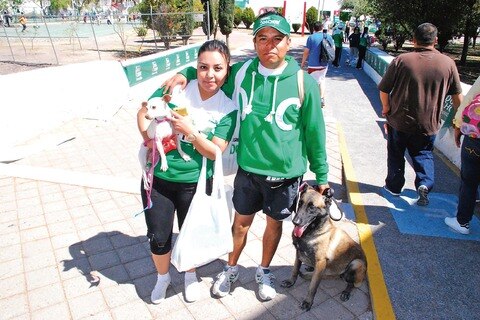 Las mascotas también descansan