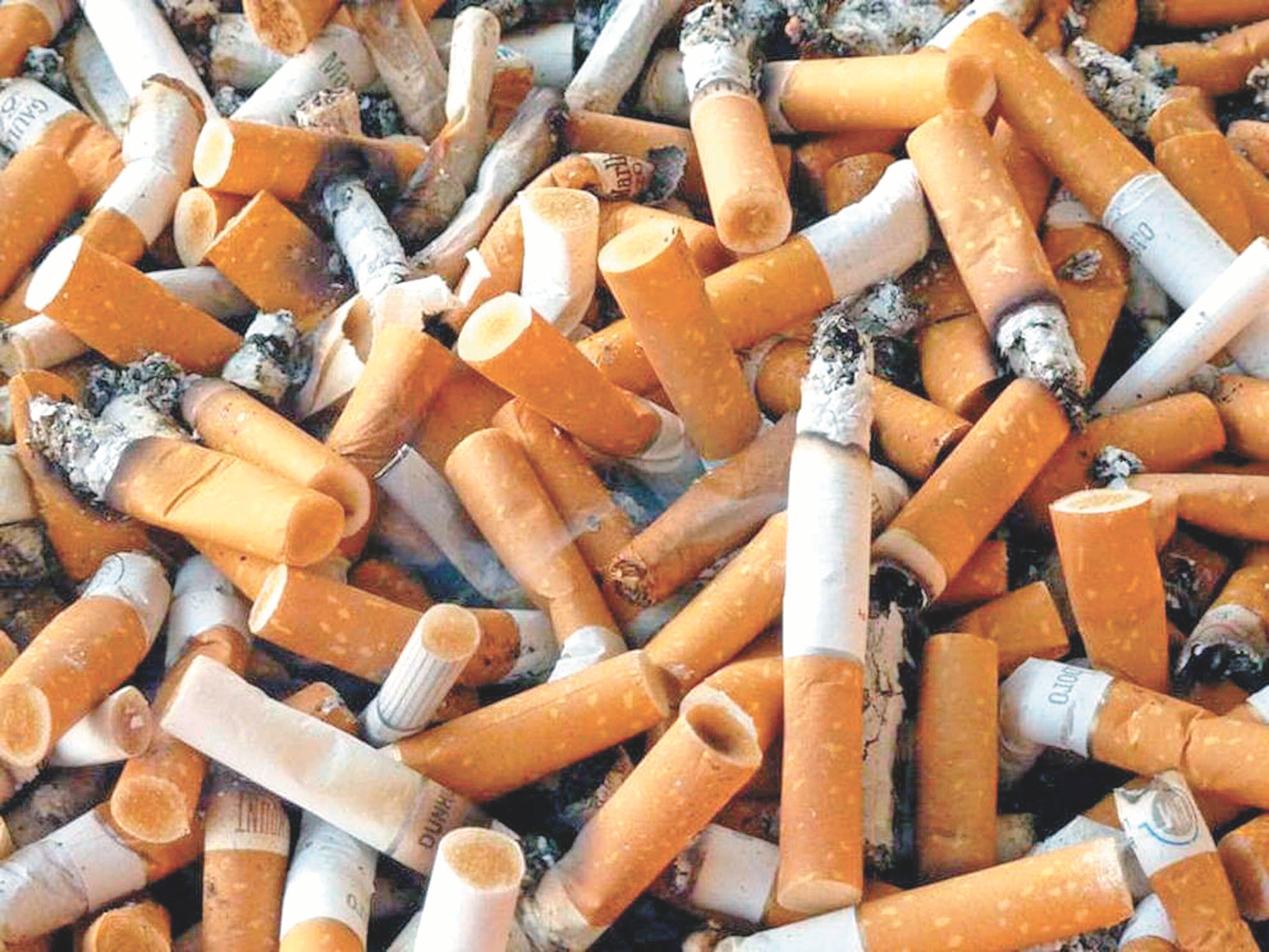 En Querétaro, 16 de 18 municipios pausan reglas sobre colillas de cigarro