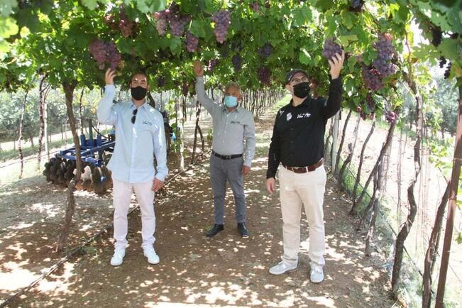 Vivir de la uva y el vino, un legado familiar