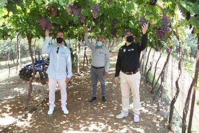 Vivir de la uva y el vino, un legado familiar