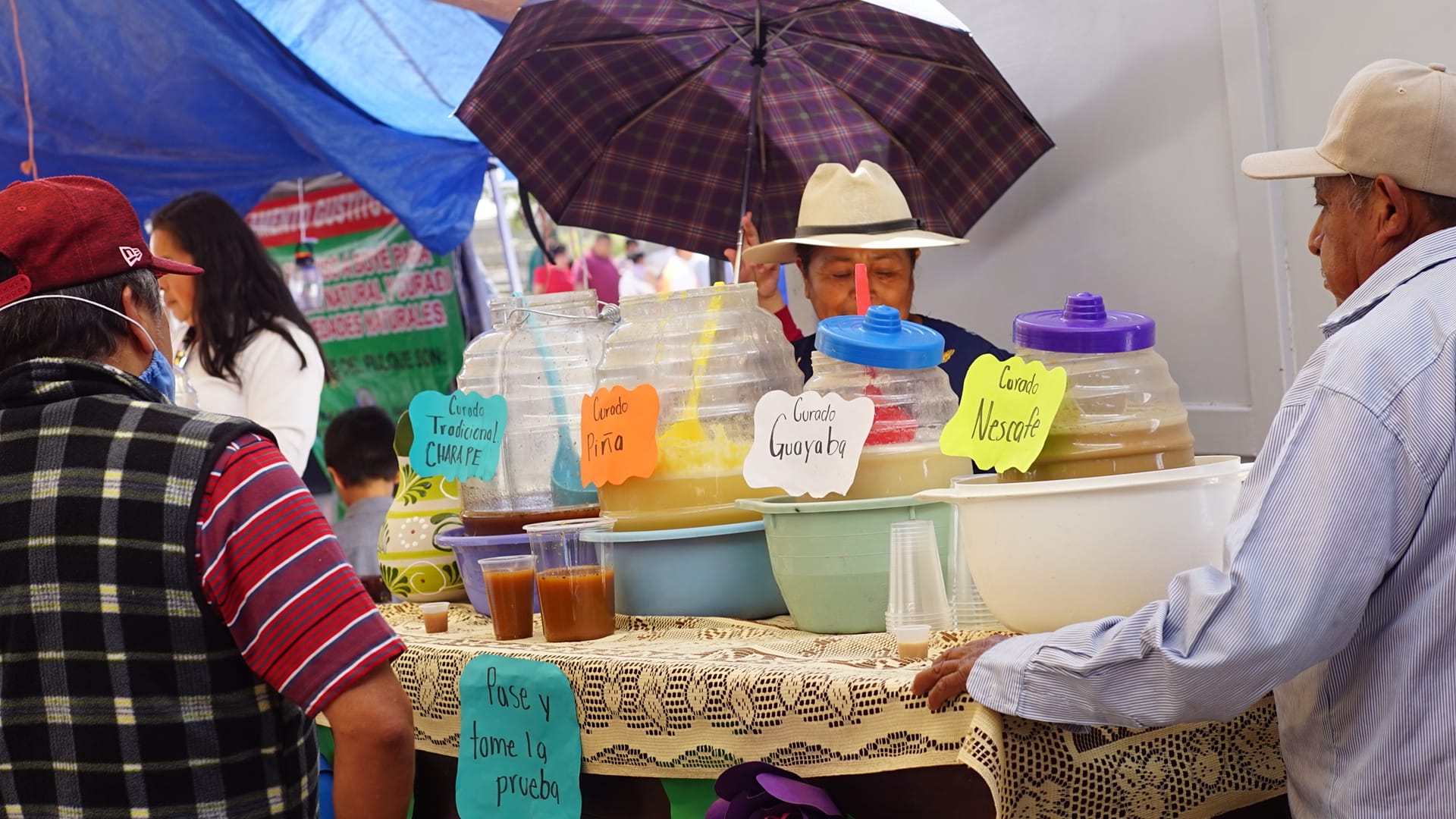 Lánzate a tomar pulque al PulQuerétaro Fest 2023; se organiza en El Marqués